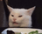 cat-confused