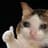 thumbs-up-crying-cat